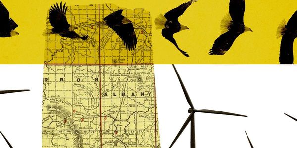 Trump Asked to Kill Wyoming Wind Projects for Eagles