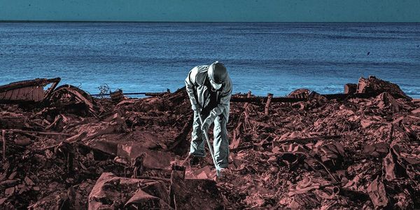 How to Live in a Fire-Scarred World