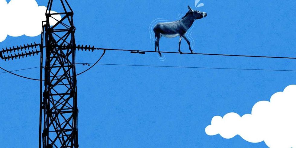 Why Electricity Prices Might Not Be a Political Win for Democrats