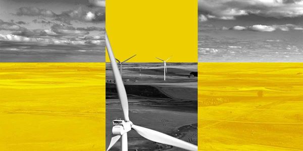 How to Build a Wind Farm in Trump’s America