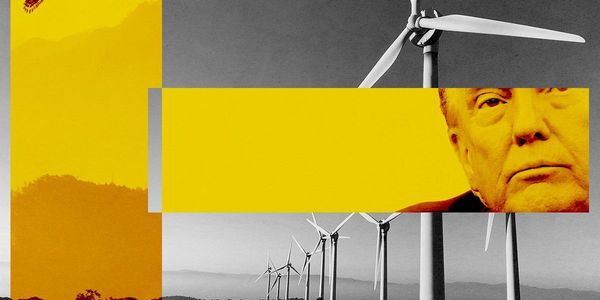 A Lawsuit Over Eagle Deaths Could Ensnare More Wind Farms