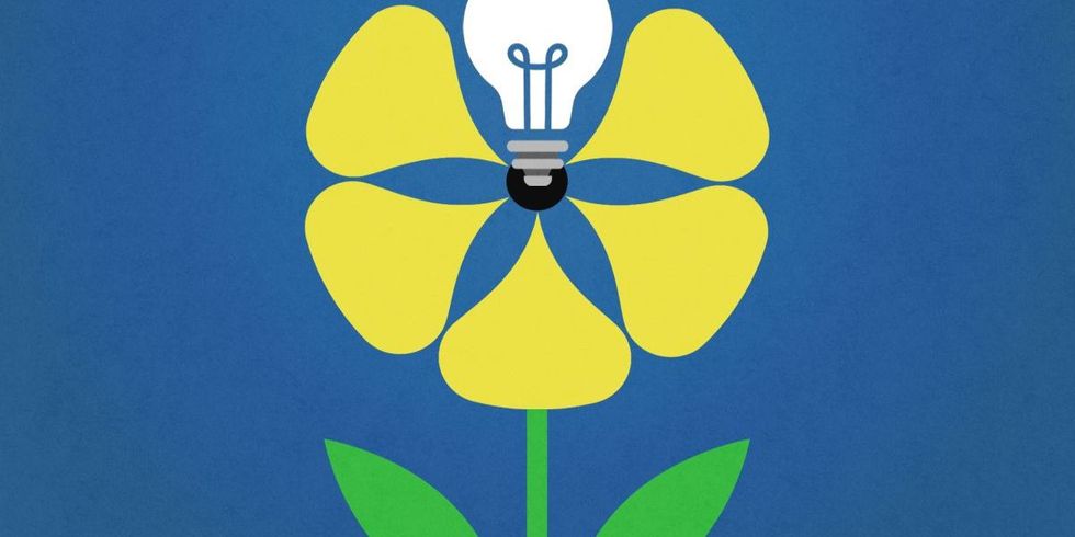 Climate Innovation Demands a New Kind of Environmentalism