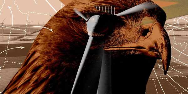 Trump Administration Restarts Key Permitting Process for Wind Farms