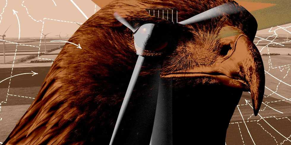 Trump Administration Restarts Key Permitting Process for Wind Farms