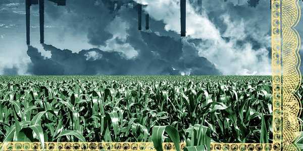 The Race to Avoid a Biomass Carbon Credit Crisis