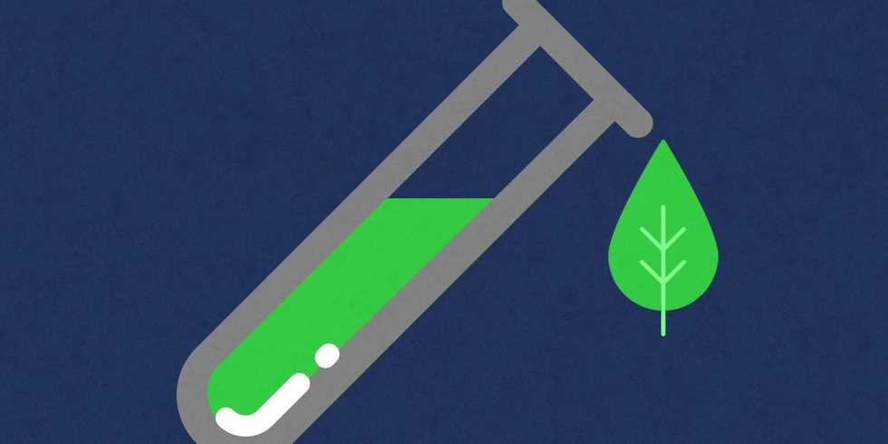 Exclusive: Trillium Raises $13 Million for Plant-Based Industrial Chemicals