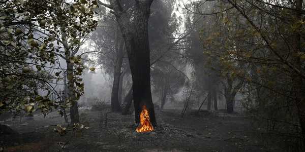 The Next Wave of Climate Extremes Is Taking Shape