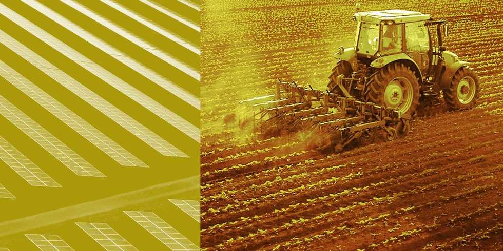 Why Energy Developers Are Freaking Out Over Trump’s Farmland Plans
