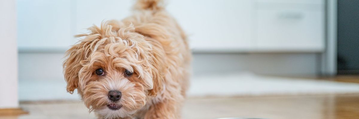 Restart Life Science